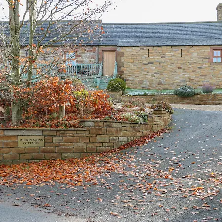 Swift Holiday home *