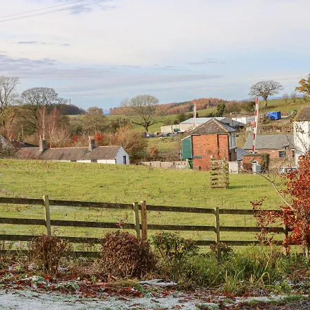 Swift * Brampton (Cumbria)