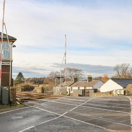 Swift * Brampton (Cumbria)