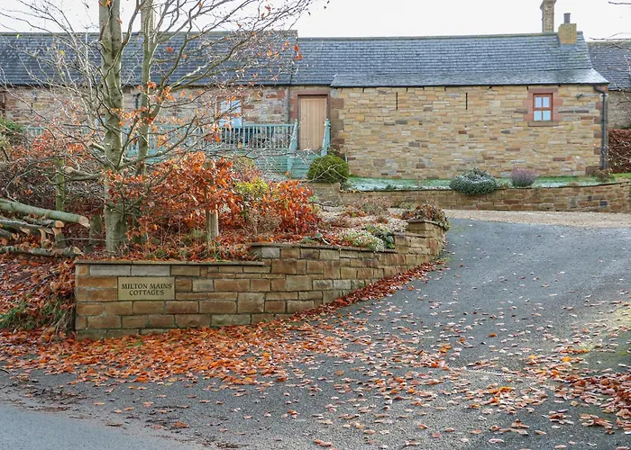 Swift Holiday home *