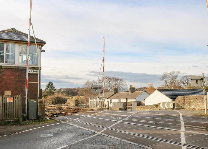 Swift * Brampton (Cumbria)